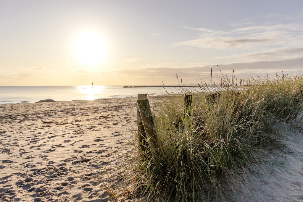 Wandbild: Strandhafer im Sonnenschein am Meer | Dieses Wandbild im Querformat zeigt die morgendliche Sonne am Standstrand. Im Vordergrund wachst in einem Sandfang aus Holzpfählen Strandgras. Das ganze Bild erhält durch die morgendliche Sonne einen dezenten warmen Farbton. Kaufen Sie sich diese schöne maritime Morgenstimmung auf Leinwand, Aluminium-Platte oder Acrylglas. Ideal fürs Wohnzimmer, Schlafzimmer, Küche, den Arbeitsplatz oder die Ferienwohnung. Die Wandbilder werden individuell für Sie in vielen Abmessungen produziert. Daher passen die Ostseekult Wandbilder immer perfekt an Ihre Wände. - Realisiert mit Pictrs.com