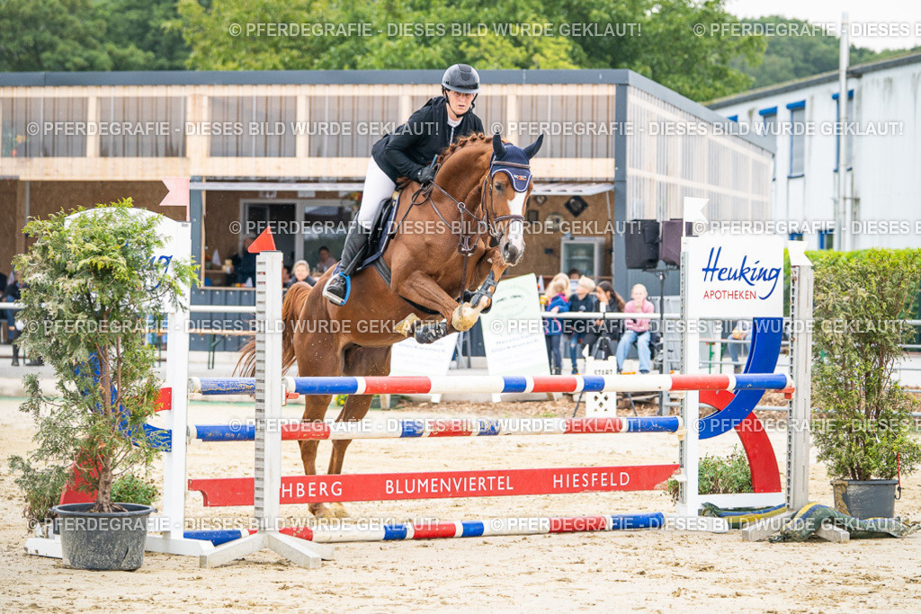 DSC09547 | Pferdegrafie