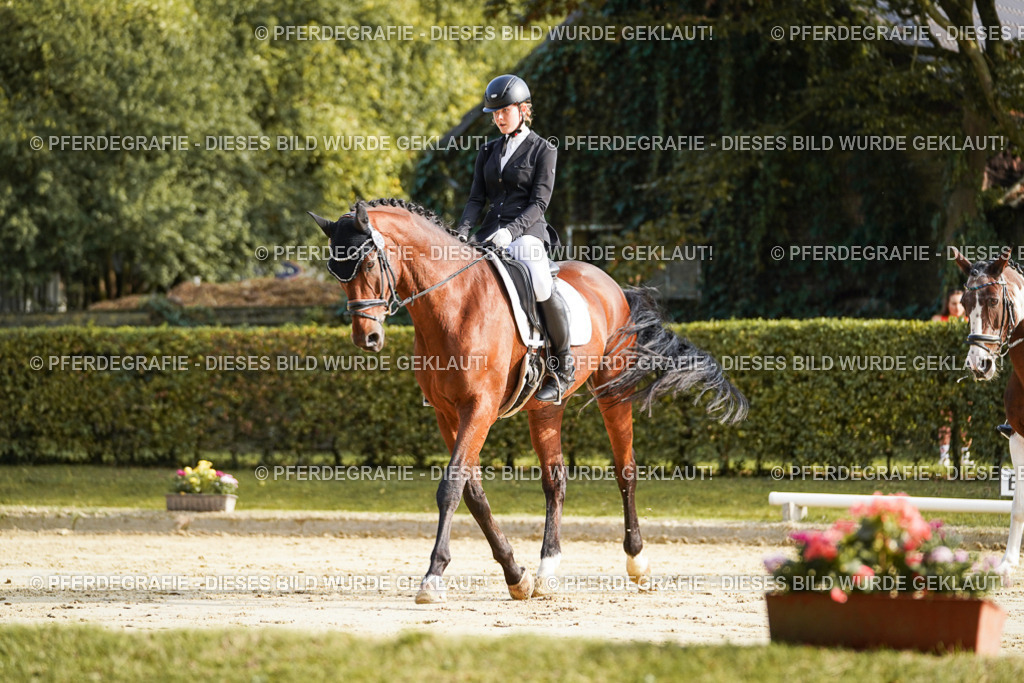 DSC05781 | Pferdegrafie