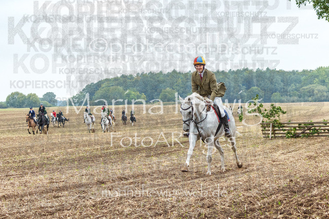 Jagd Perdoel_MarinaHewigMCH04146 | Fotografie, FotoArt, PferdesportArt, Pferdesportfotografie, Landschaftsfotografie, Reisefotografie, Reise, Pferde - Realisiert mit Pictrs.com