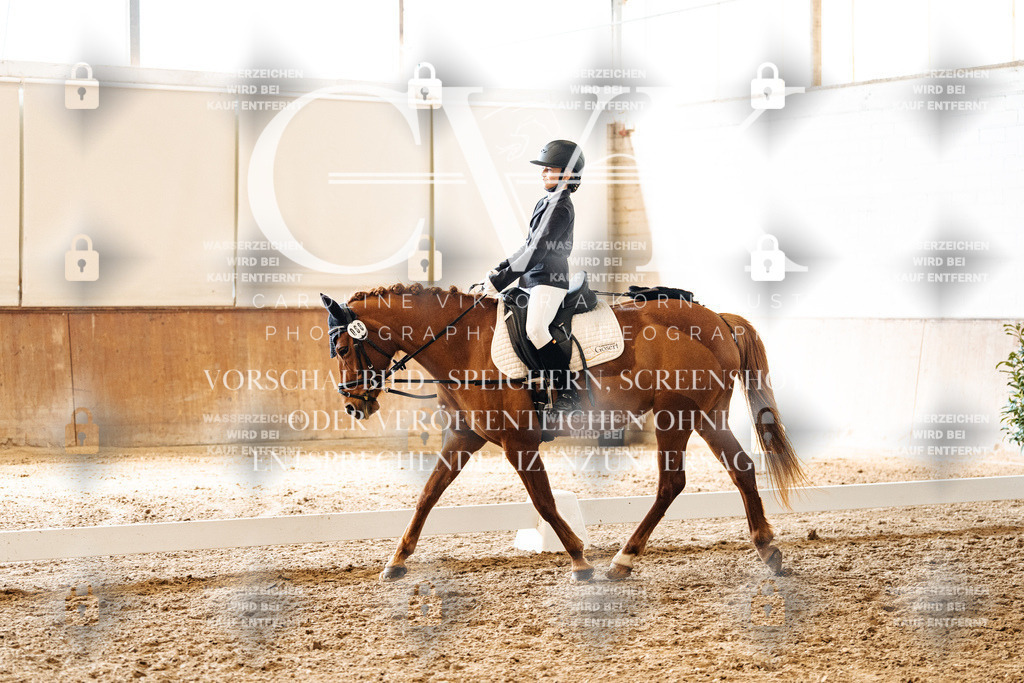CK900117 | Turnierfotografie Pferdefotografie Trier Rheinland-Pfalz Pferdesport Reitsport Tierfotografie Sportfotografie Pferdevideo Pferdevideografie Equestrianvideography equestrianphotography  - Realized with Pictrs.com