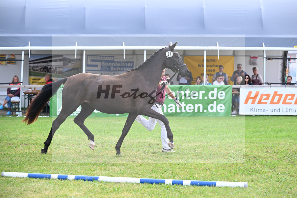 Kat-Nr. 27 Della Mara S v. Monte Carlo TC_Schwarz_30250622 | hf-fotografie - Realisiert mit Pictrs.com