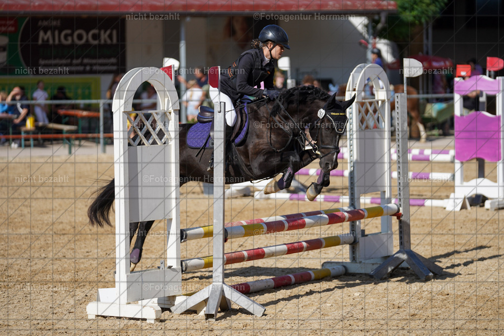 20240824-FAH07370 | Thierhaupten 2024, Bayerisches Landesponyturnier, Turnierbilder, Ponybilder, Turnierfotografen Bayern, Fotoagentur Herrmann