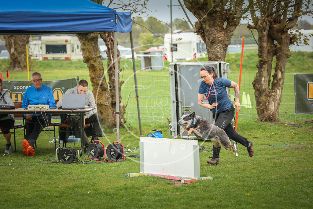 Pfotenfotografie_0L8A9883 | Hundefotografie, Tierfotograf, Pfotenfotografie, Fotoshooting Hund, Hunde Portrait, Hundesport, Hundeportraits, Heideshooting, Hunde, Sportfotograf, Hundefotograf, Turnierhundsport, THS,  - Realisiert mit Pictrs.com