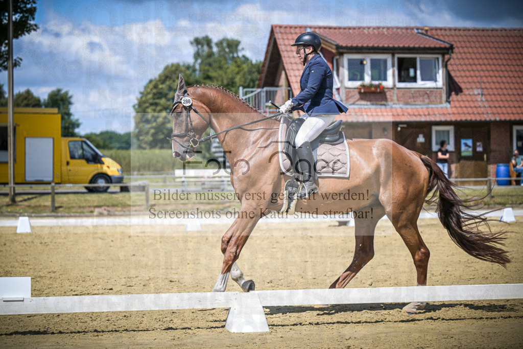 DOS_5193 | Entdecke hochwertige Reitturnierfotos von Foto Oger. Professionell, emotional und authentisch – jetzt Lieblingsmomente im Shop bestellen.Deutschlandweite Turnierfotografie. - Realisiert mit Pictrs.com