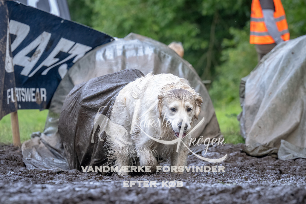 1731_ZZ92501-Bearbeitet | kk-dogfotos