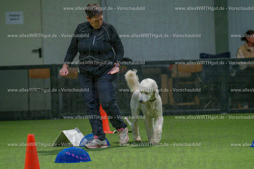 7R505545 | Professionelle Tierfotografie in Mönchengladbach von Daniel Wirth (allesWIRTHgut). Liebevolle & natürliche Bilder von Hunden & Katzen für unvergessliche Erinnerungen.