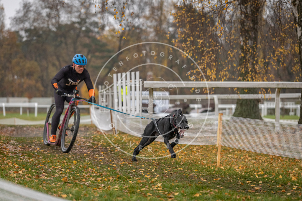 CaniXpix_DV3A7357 | Hundefotografie, Tierfotograf, Pfotenfotografie, Fotoshooting Hund, Hunde Portrait, Hundesport, Hundeportraits, Heideshooting, Hunde, Sportfotograf, Hundefotograf, Turnierhundsport, THS,  - Realisiert mit Pictrs.com