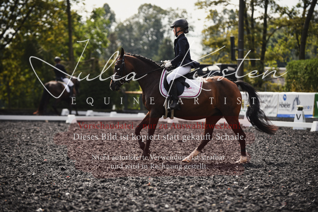 DSC_3696 | Pferde- und Turnierfotografie in Westsachsen. Pferdeportraits, Auftragszeichnungen und intuitive Kunst.