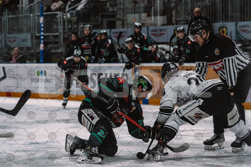 Alligators_vs_Passau_26_12_2025-047 | Höchstadt Alligators Fotogalerie: Eishockey-Action aus Franken. Professionelle Spielfotos, Portraits & Stadionbilder zum Download. Jetzt entdecken! - Realisiert mit Pictrs.com