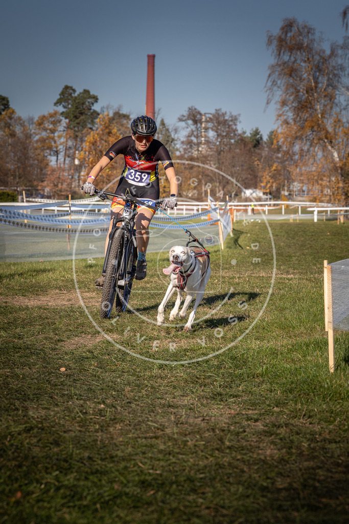 CaniXpix_0L8A6191 | Hundefotografie, Tierfotograf, Pfotenfotografie, Fotoshooting Hund, Hunde Portrait, Hundesport, Hundeportraits, Heideshooting, Hunde, Sportfotograf, Hundefotograf, Turnierhundsport, THS,  - Realisiert mit Pictrs.com