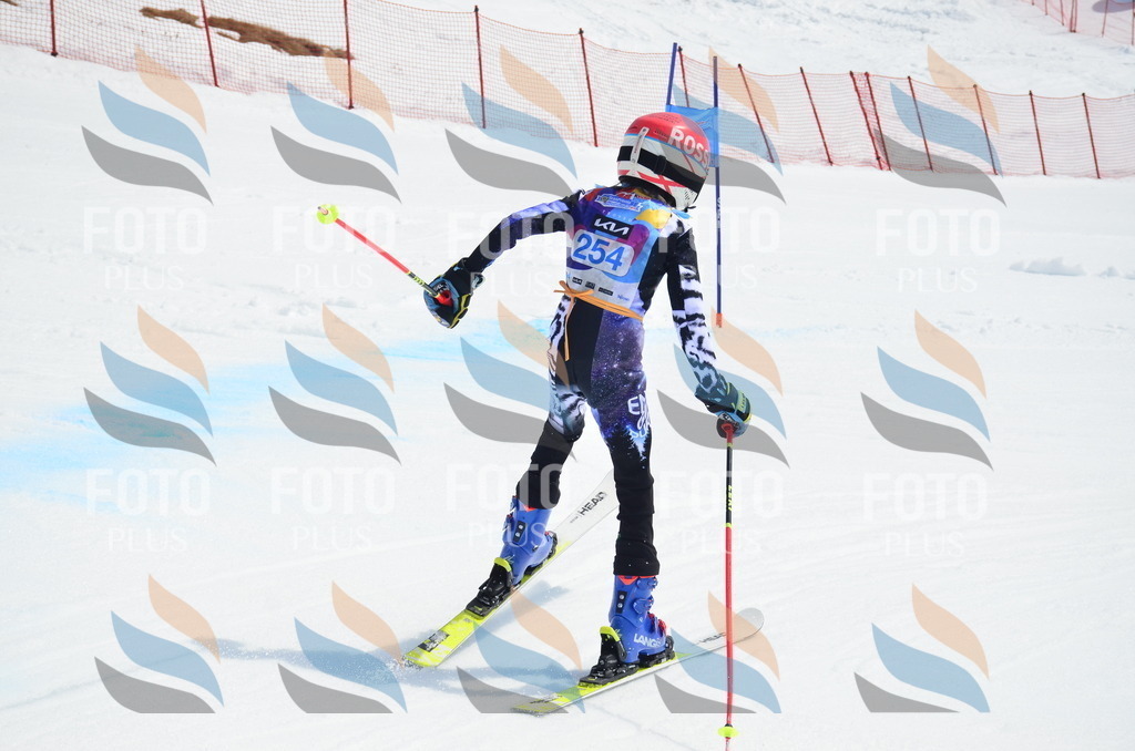 _ELE1875 | holidayphoto