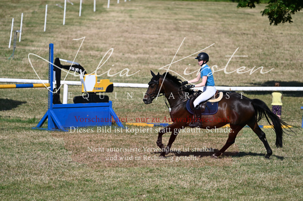 DSC_2371 | Pferde- und Turnierfotografie in Westsachsen. Pferdeportraits, Auftragszeichnungen und intuitive Kunst.