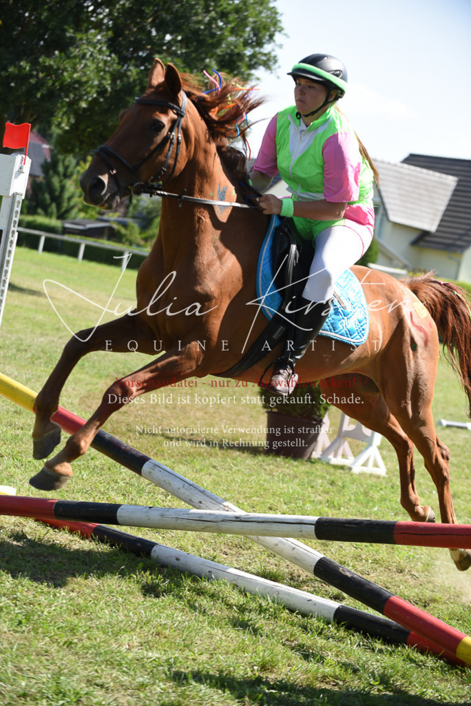 DSC_0419 | Pferde- und Turnierfotografie in Westsachsen. Pferdeportraits, Auftragszeichnungen und intuitive Kunst.