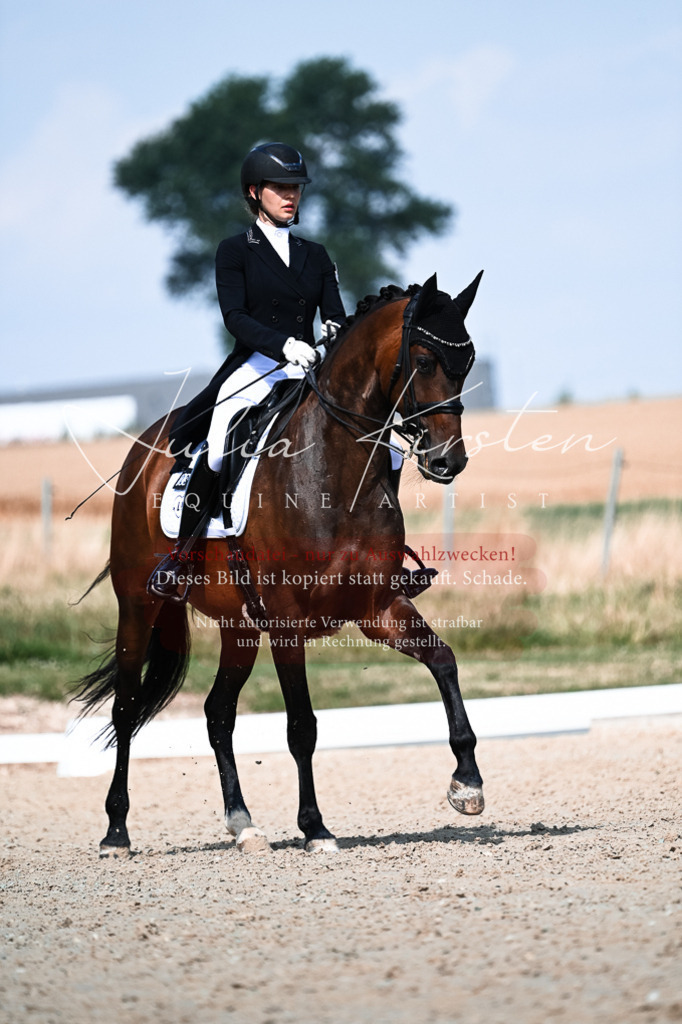 DSC_3086 | Pferde- und Turnierfotografie in Westsachsen. Pferdeportraits, Auftragszeichnungen und intuitive Kunst.