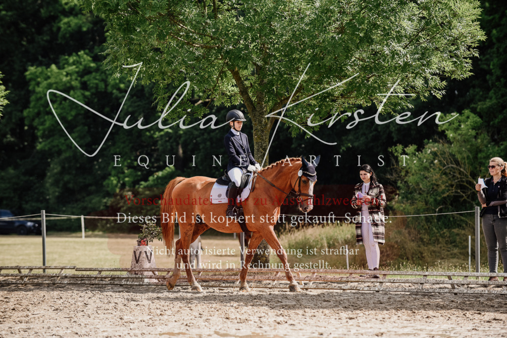DSC_0001 | Pferde- und Turnierfotografie in Westsachsen. Pferdeportraits, Auftragszeichnungen und intuitive Kunst.