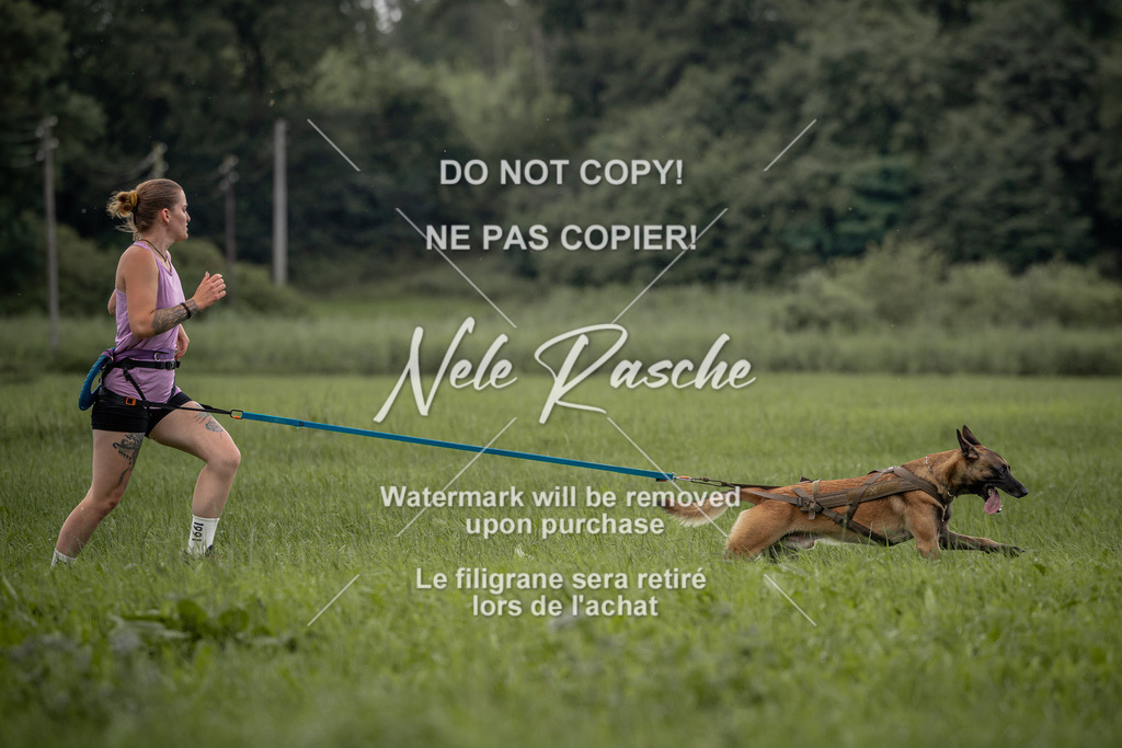 nelerasche_DoN_159 | nelerasche