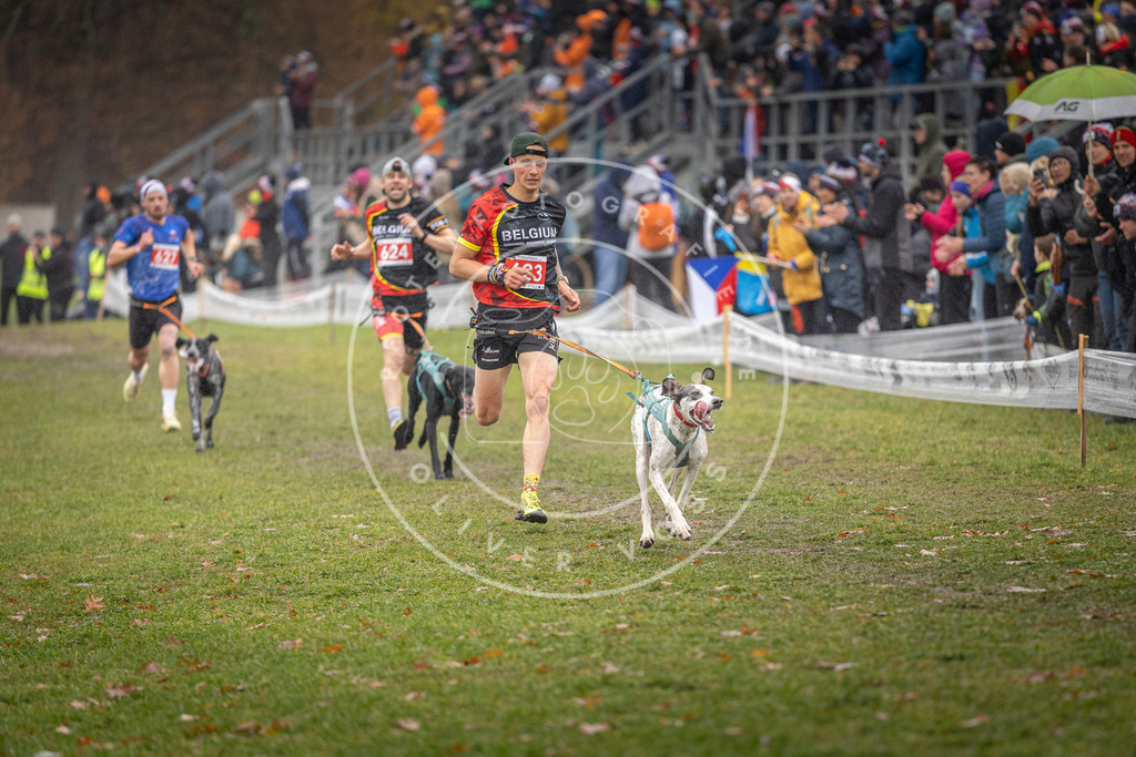 CaniXpix_DV3A9649 | Hundefotografie, Tierfotograf, Pfotenfotografie, Fotoshooting Hund, Hunde Portrait, Hundesport, Hundeportraits, Heideshooting, Hunde, Sportfotograf, Hundefotograf, Turnierhundsport, THS,  - Realisiert mit Pictrs.com