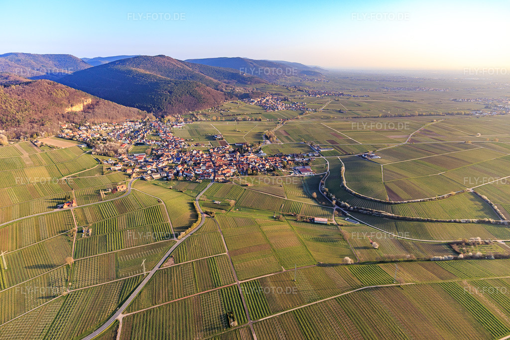 Luftbild: Ortsansicht von Südosten in Frankweiler im Bundesland Rheinland-Pfalz in Deutschland. Foto: IMG_126279.jpg vom 04.04.2021 durch Werner Riehm/FLY-FOTO.de