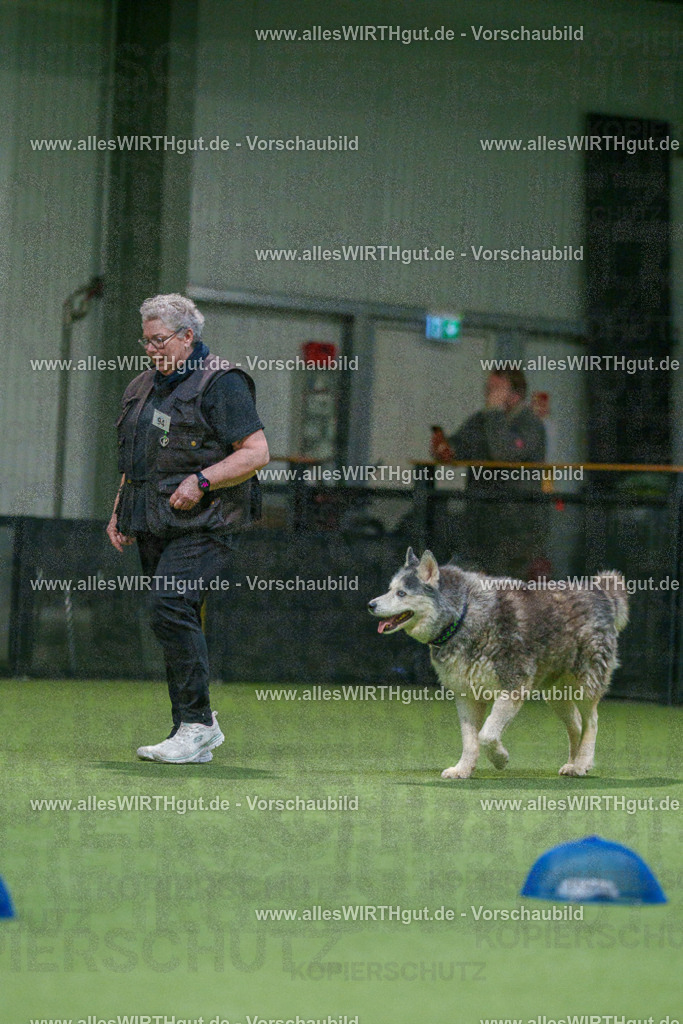 7R504435 | Professionelle Tierfotografie in Mönchengladbach von Daniel Wirth (allesWIRTHgut). Liebevolle & natürliche Bilder von Hunden & Katzen für unvergessliche Erinnerungen.