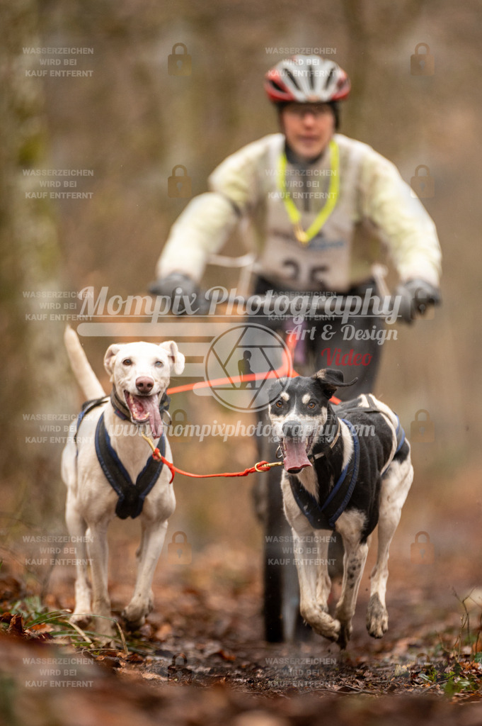 Reiat2023_SON_DS2_5km_2H-26 | mompixphotography