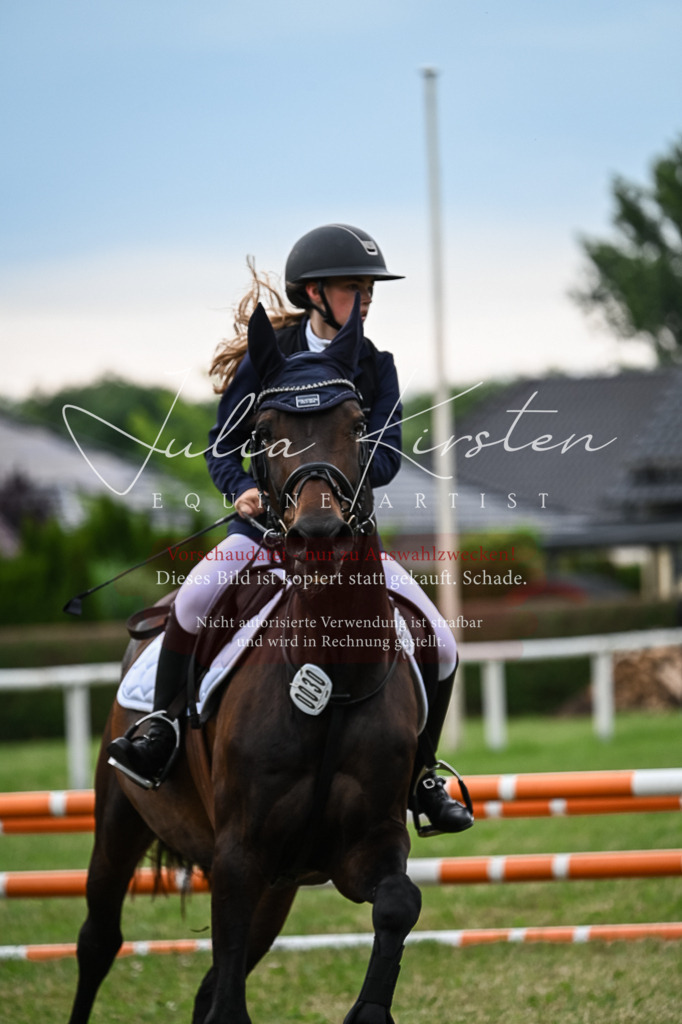 DSC_8566 | Pferde- und Turnierfotografie in Westsachsen. Pferdeportraits, Auftragszeichnungen und intuitive Kunst.
