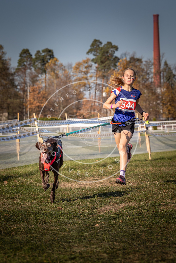 CaniXpix_0L8A7591 | Hundefotografie, Tierfotograf, Pfotenfotografie, Fotoshooting Hund, Hunde Portrait, Hundesport, Hundeportraits, Heideshooting, Hunde, Sportfotograf, Hundefotograf, Turnierhundsport, THS,  - Realisiert mit Pictrs.com
