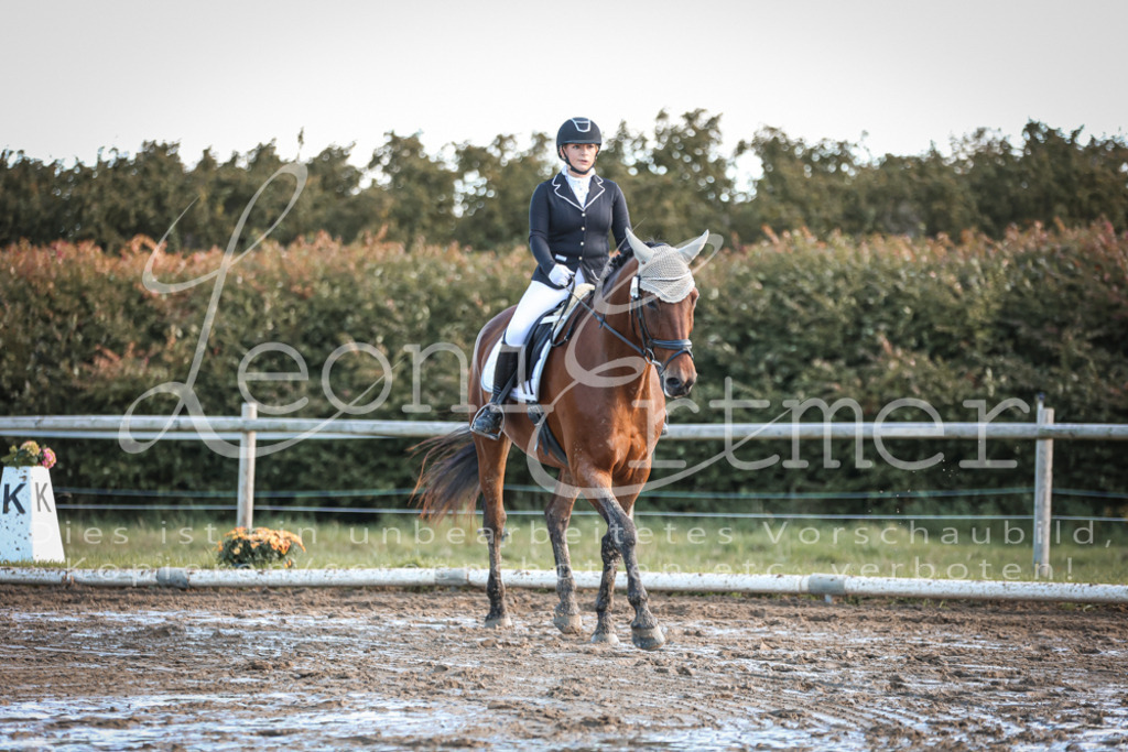 07.SoDrE00173 | Leoni Ertmer Photography - Realisiert mit Pictrs.com