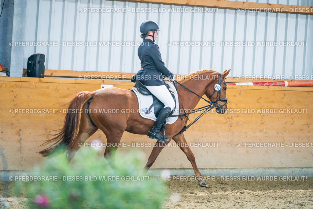 DSC04971 | Pferdegrafie