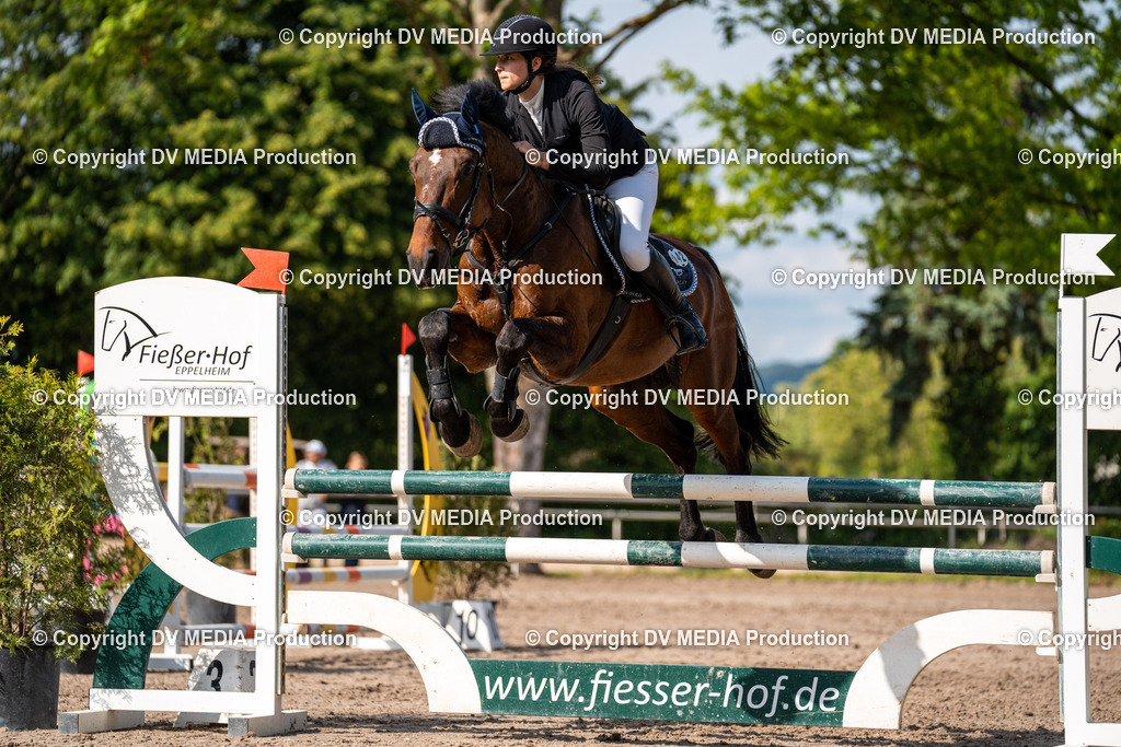 Eppelheim Tag 2-594 | dv-media-shop - Realisiert mit Pictrs.com