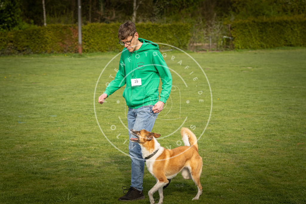 Pfotenfotografie_DV3A4890 | Hundefotografie, Tierfotograf, Pfotenfotografie, Fotoshooting Hund, Hunde Portrait, Hundesport, Hundeportraits, Heideshooting, Hunde, Sportfotograf, Hundefotograf, Turnierhundsport, THS,  - Realisiert mit Pictrs.com