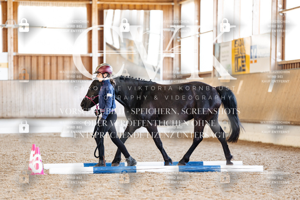 CK905993 | Turnierfotografie Pferdefotografie Trier Rheinland-Pfalz Pferdesport Reitsport Tierfotografie Sportfotografie Pferdevideo Pferdevideografie Equestrianvideography equestrianphotography  - Realisiert mit Pictrs.com