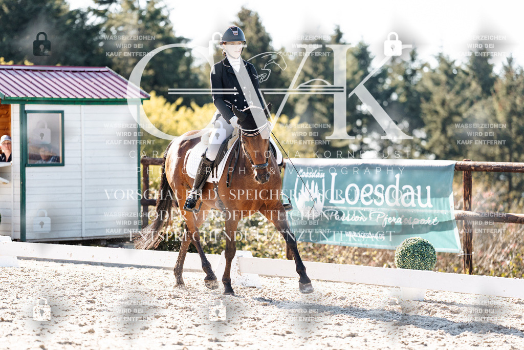 CK906201 | Turnierfotografie Pferdefotografie Trier Rheinland-Pfalz Pferdesport Reitsport Tierfotografie Sportfotografie Pferdevideo Pferdevideografie Equestrianvideography equestrianphotography  - Realisiert mit Pictrs.com