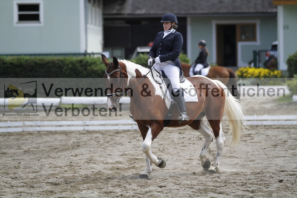 _MG_1195 | equestrian-live-com