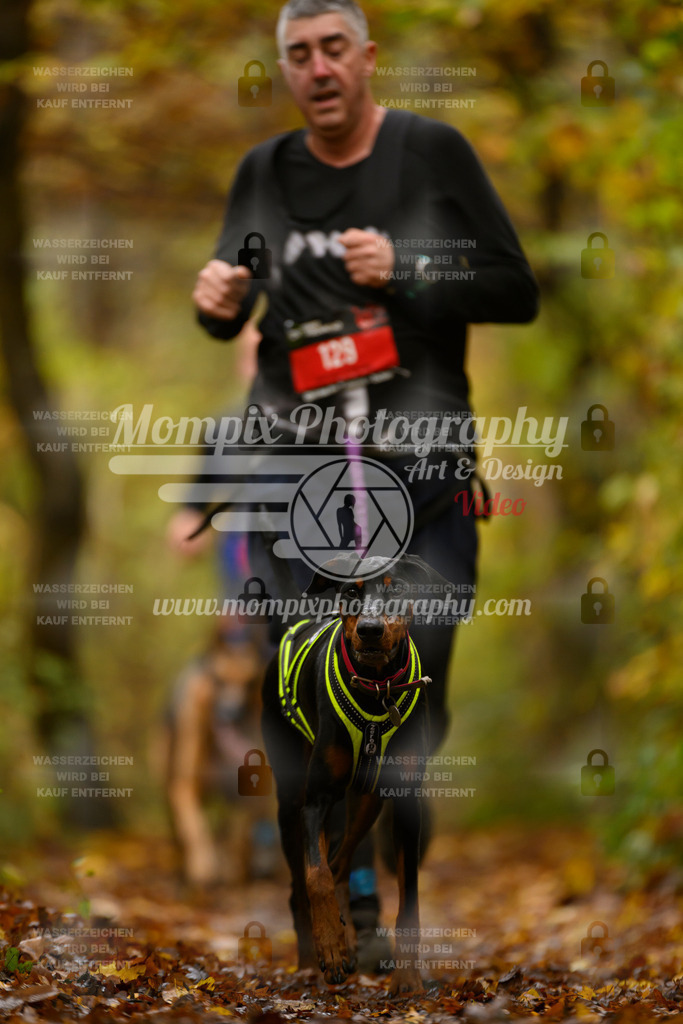 MompixPhotography_CD7S_DI_CCL-92 | mompixphotography