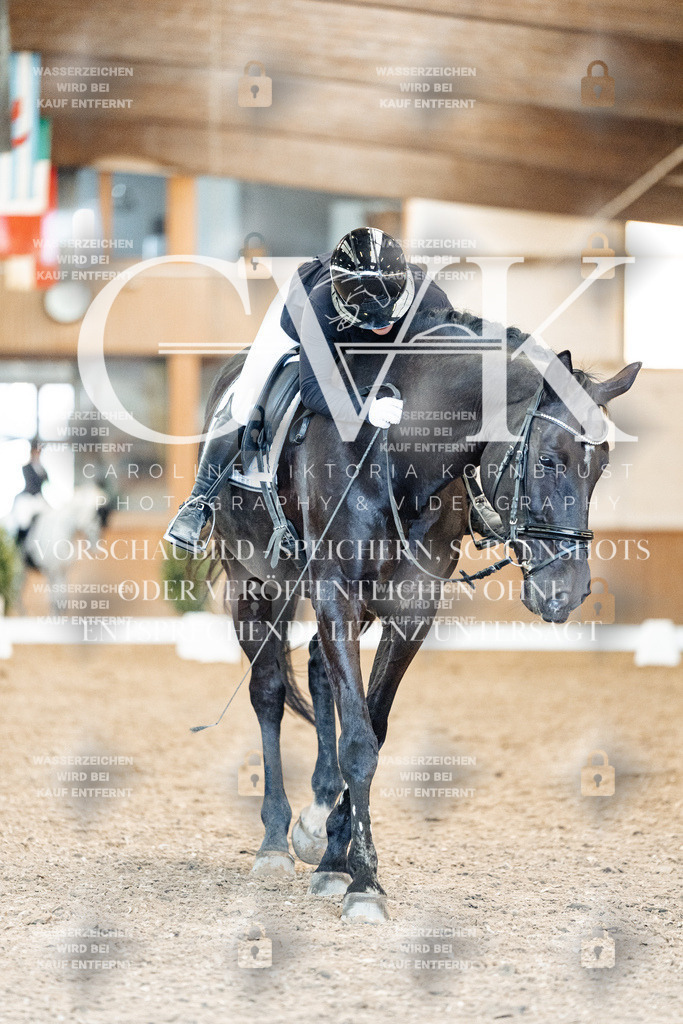 CK909556 | Turnierfotografie Pferdefotografie Trier Rheinland-Pfalz Pferdesport Reitsport Tierfotografie Sportfotografie Pferdevideo Pferdevideografie Equestrianvideography equestrianphotography  - Realisiert mit Pictrs.com