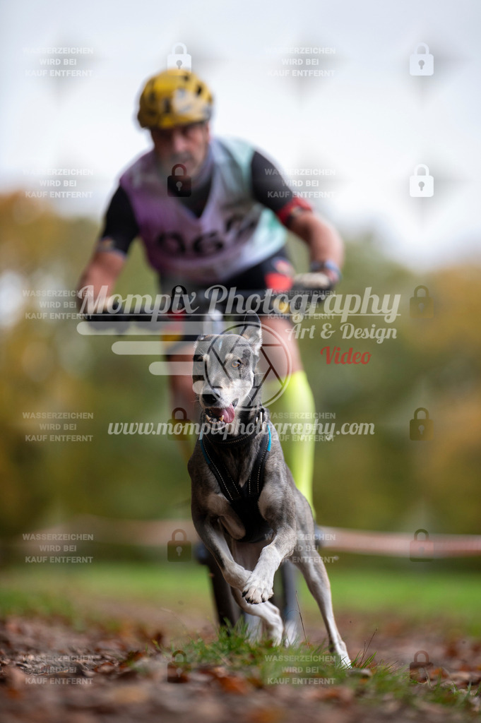 DBT_DAKM_SA_4_11_2023_Bike-80 | PayLife