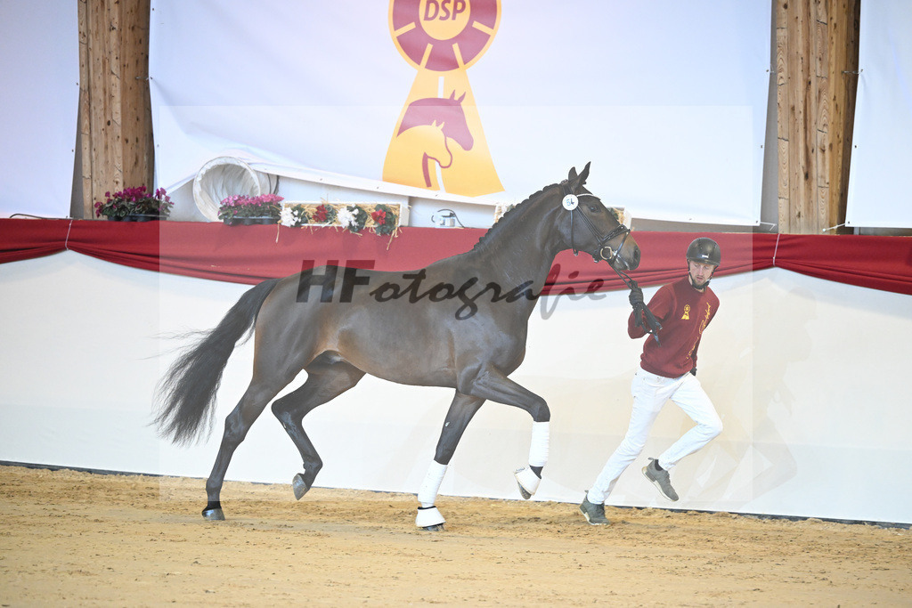 Kat-Nr. 54 Feinrich_Ruediger_1231364 | hf-fotografie - Realisiert mit Pictrs.com