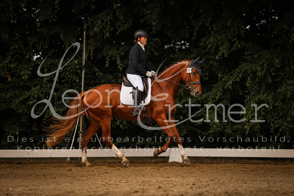 17.SoDrL00319 | Leoni Ertmer Photography - Realisiert mit Pictrs.com