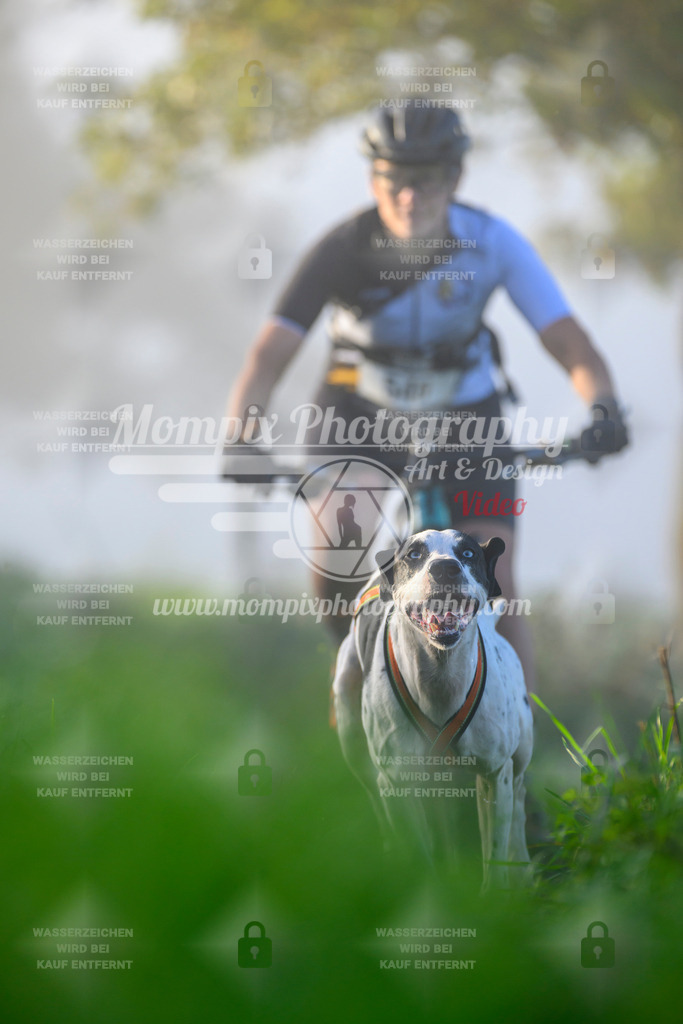 MompixPhotography_20TSB_E3_Bike-45 | PayLife