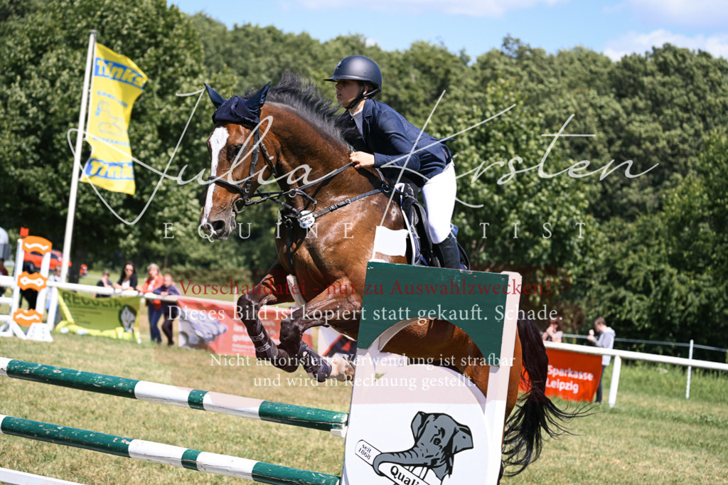 DSC_0123 | Pferde- und Turnierfotografie in Westsachsen. Pferdeportraits, Auftragszeichnungen und intuitive Kunst.
