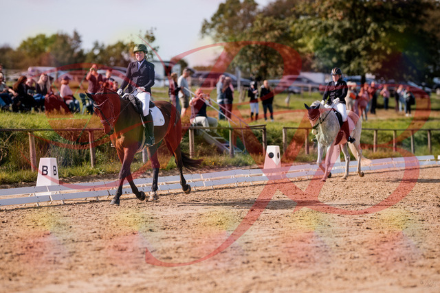 2026_10_03_Siefer-Hof_123006_Z81_28755016 | Professionelle Reitsport-, Turnier- und Eventfotografie von Robert Broda. Galerien mit ausgewählten und bearbeiteten Bildern direkt online ansehen und bestellen.