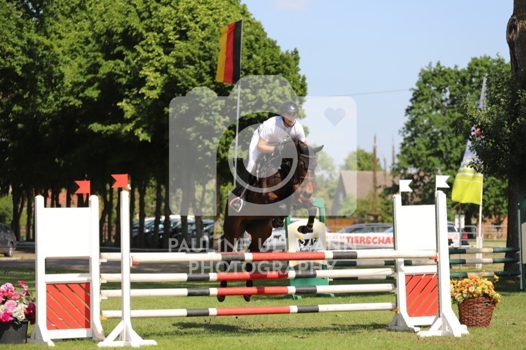 IMG_6538 | Pauline Ullmann Photography - Realisiert mit Pictrs.com