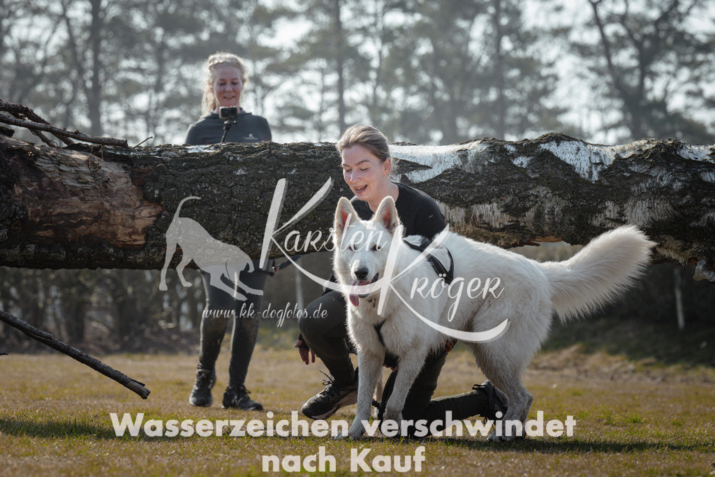 1127_ZZ95173 | kk-dogfotos