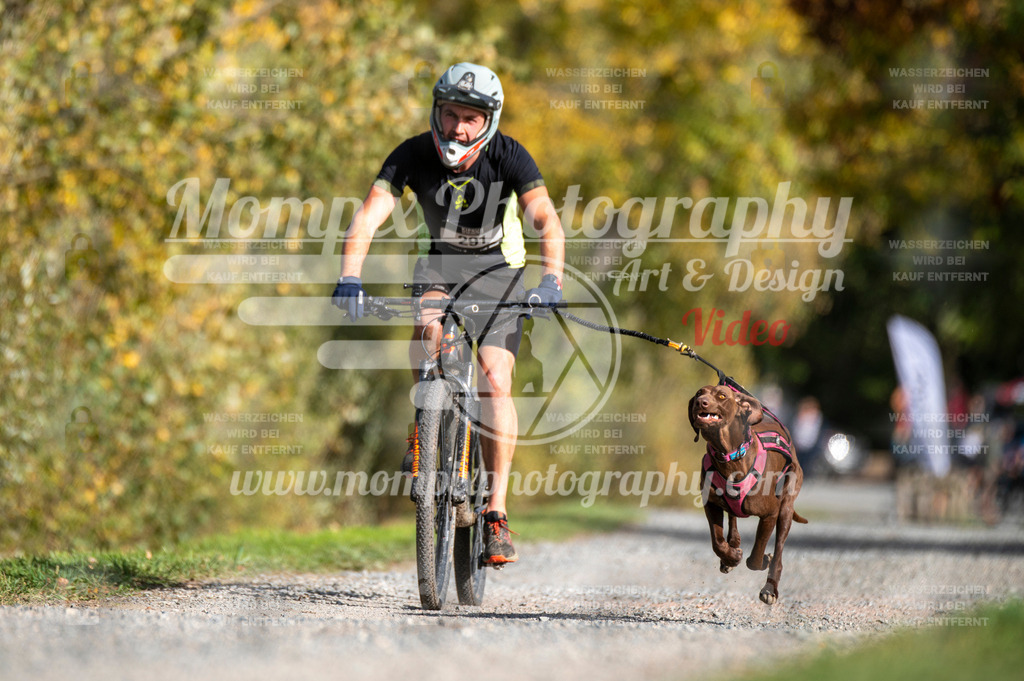 TSB_2023_E2_Bike-7 | PayLife