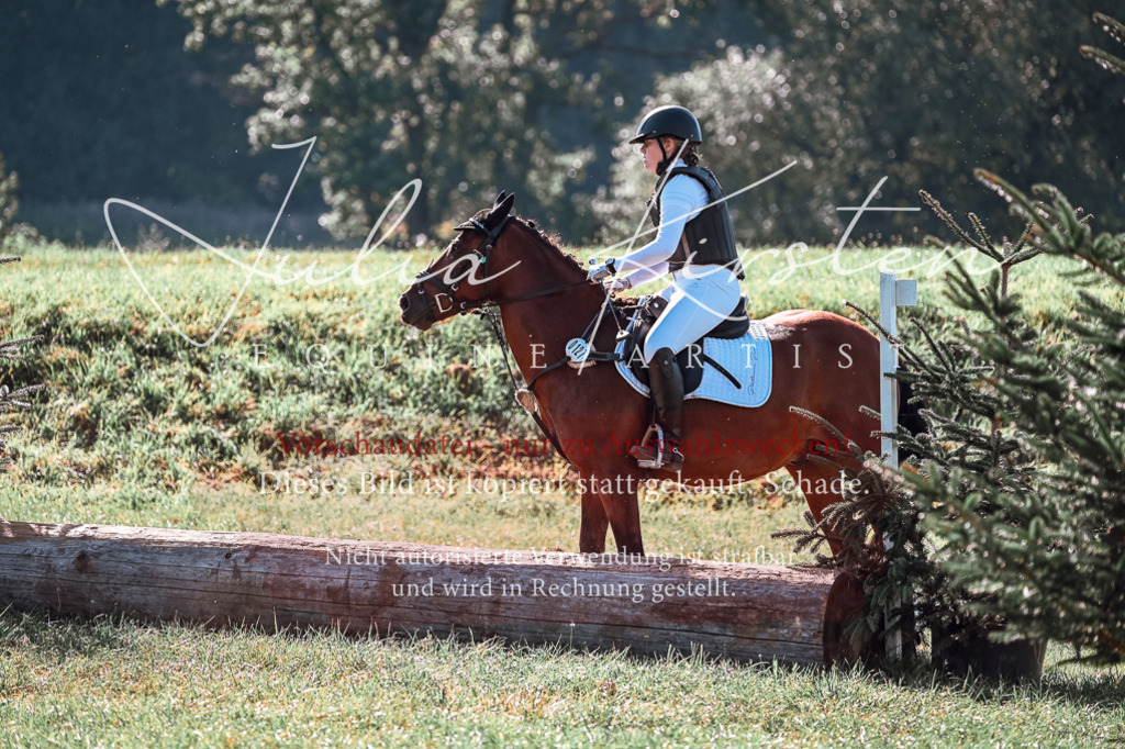DSC_0612 | Pferde- und Turnierfotografie in Westsachsen. Pferdeportraits, Auftragszeichnungen und intuitive Kunst.