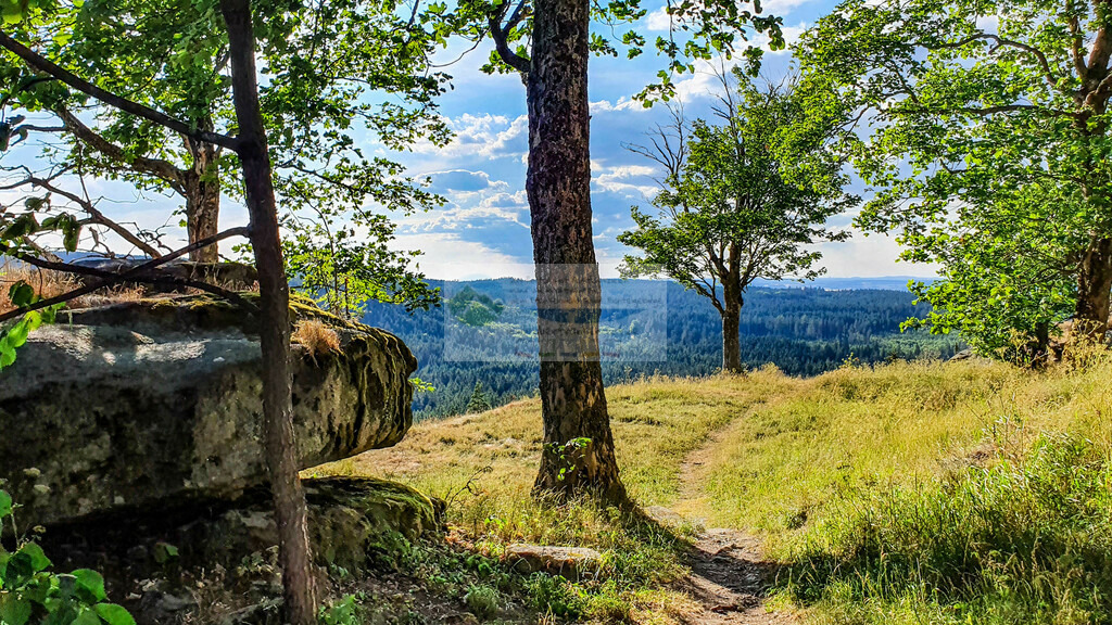Epprechtstein im Sommer | Impressionen rund um Hochfranken - Frankenwald - Fichtelgebirge - Realisiert mit Pictrs.com