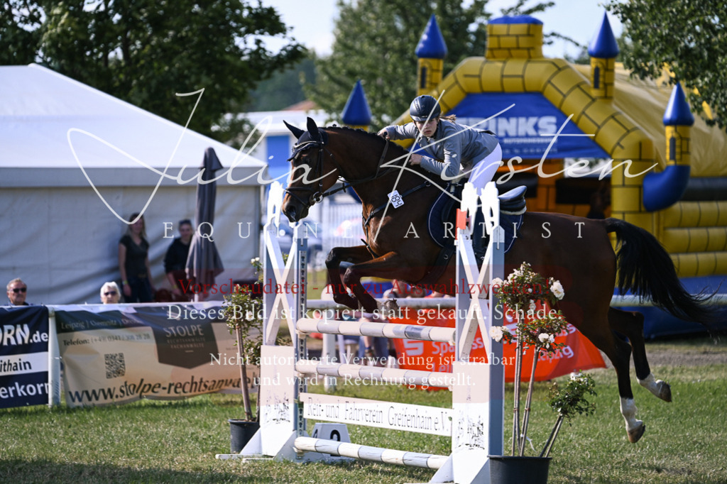 DSC_1345 | Pferde- und Turnierfotografie in Westsachsen. Pferdeportraits, Auftragszeichnungen und intuitive Kunst.