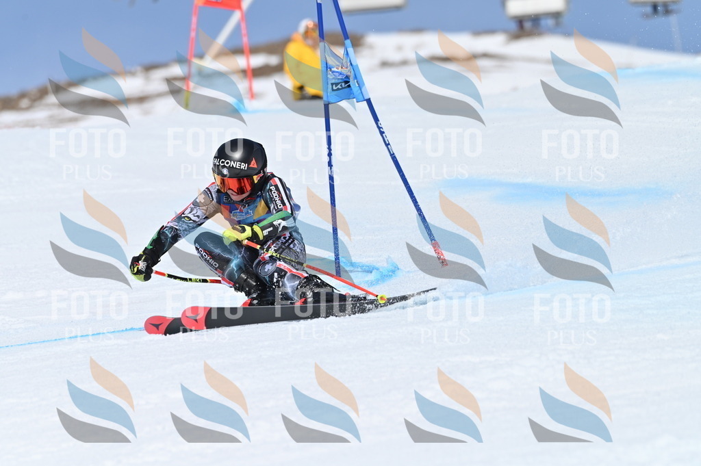 BGV_1043 | holidayphoto