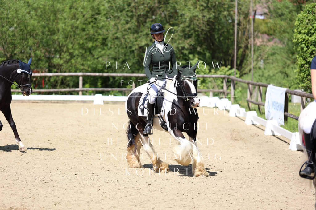 IMGS4113 | pl-fotografie